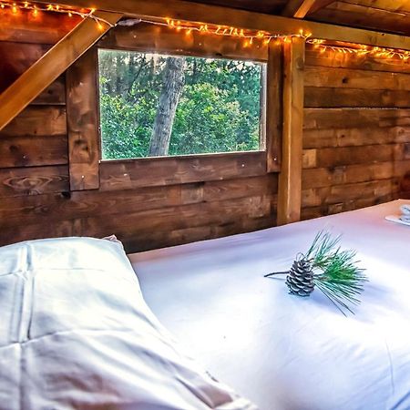 Drolma Ling Nature Cabins Theológos Buitenkant foto