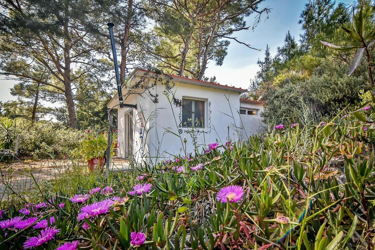 Drolma Ling Nature Cabins Theológos Buitenkant foto