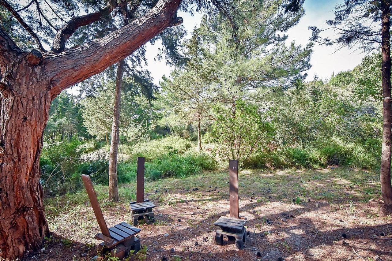 Drolma Ling Nature Cabins Theológos Buitenkant foto