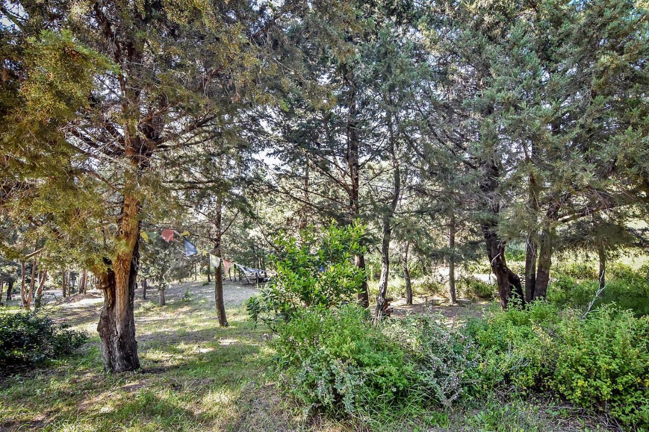 Drolma Ling Nature Cabins Theológos Buitenkant foto