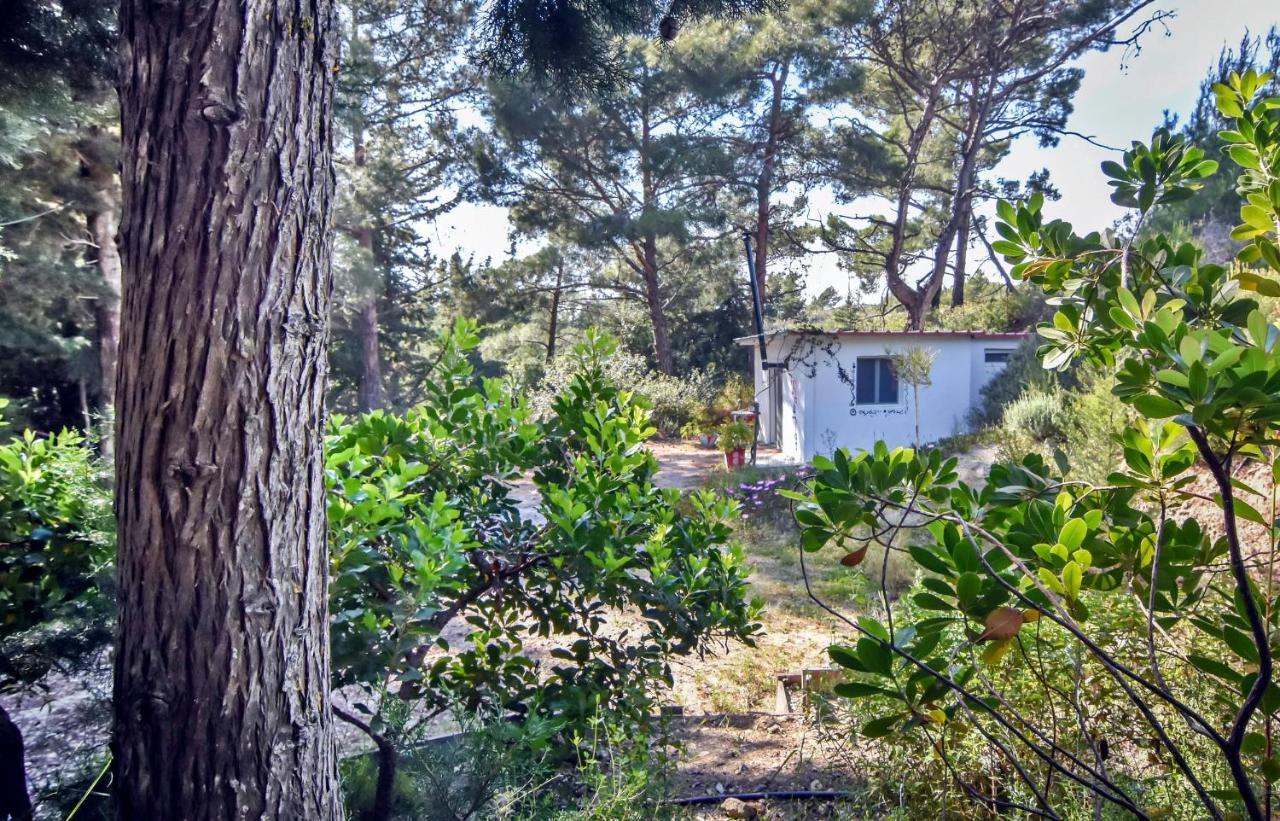 Drolma Ling Nature Cabins Theológos Buitenkant foto
