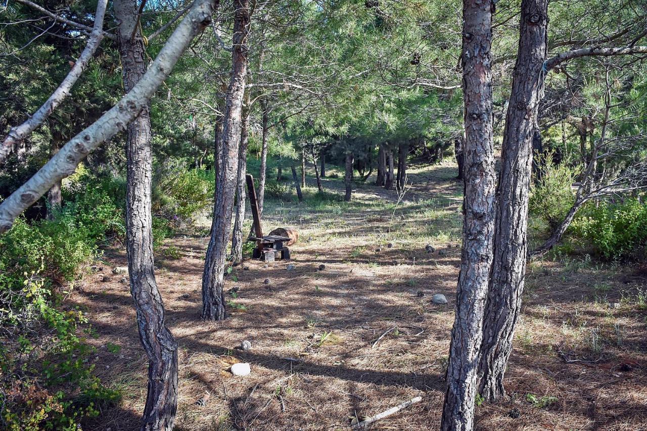 Drolma Ling Nature Cabins Theológos Buitenkant foto