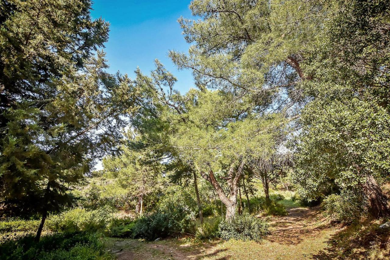 Drolma Ling Nature Cabins Theológos Buitenkant foto