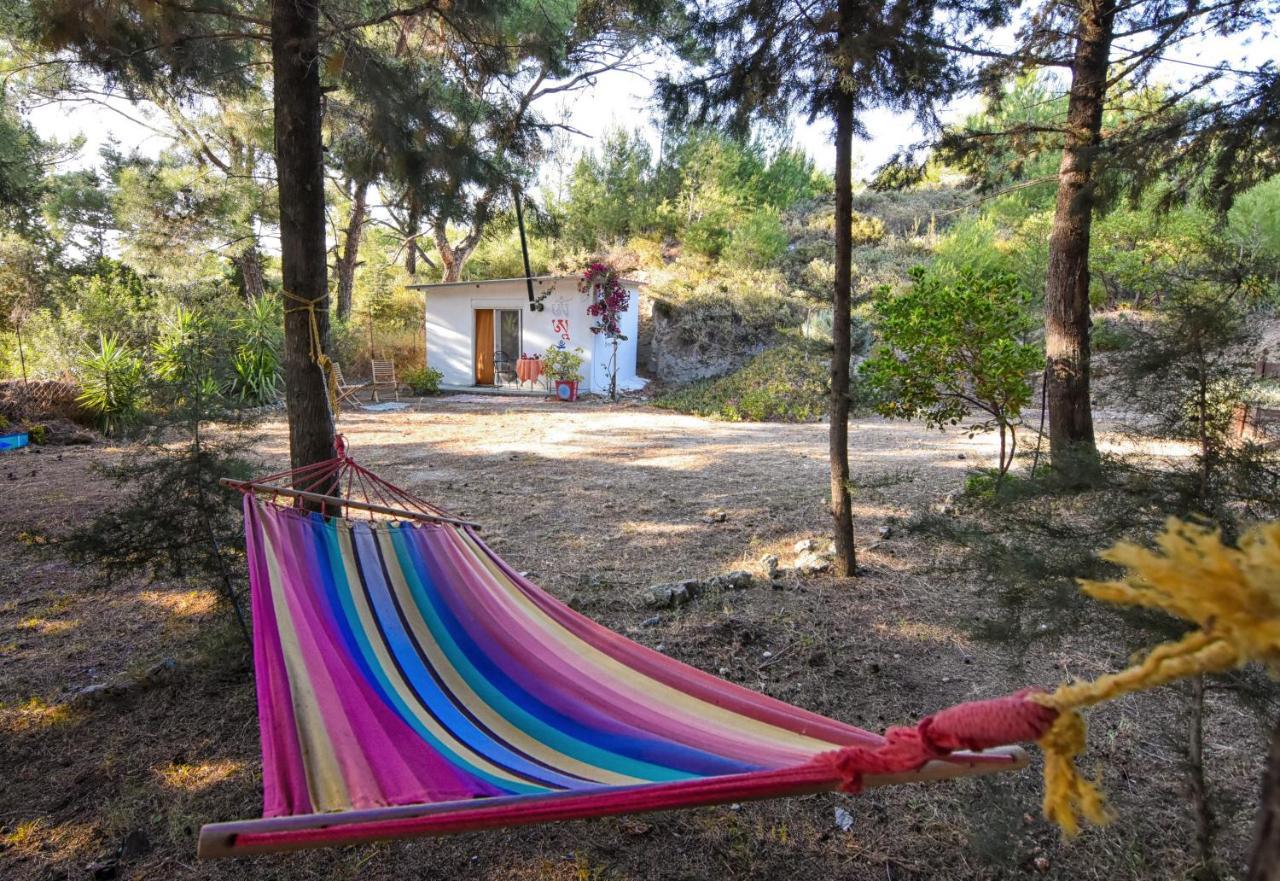 Drolma Ling Nature Cabins Theológos Buitenkant foto