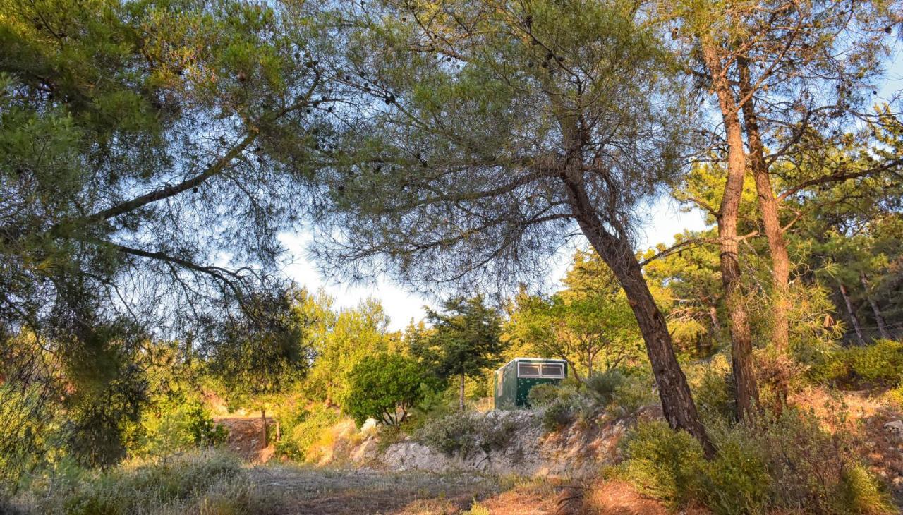 Drolma Ling Nature Cabins Theológos Buitenkant foto