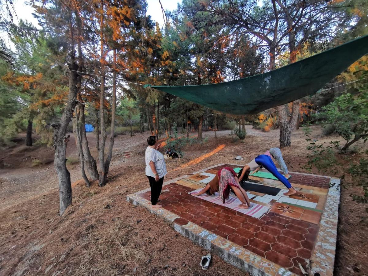 Drolma Ling Nature Cabins Theológos Buitenkant foto