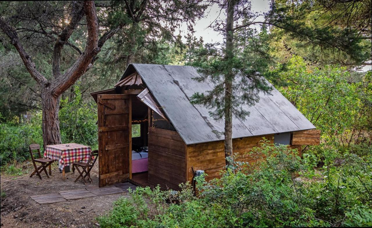 Drolma Ling Nature Cabins Theológos Buitenkant foto