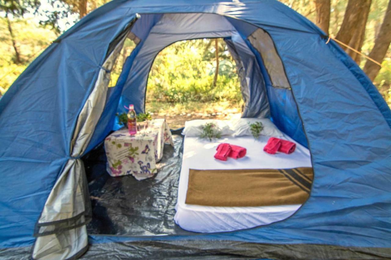 Drolma Ling Nature Cabins Theológos Buitenkant foto