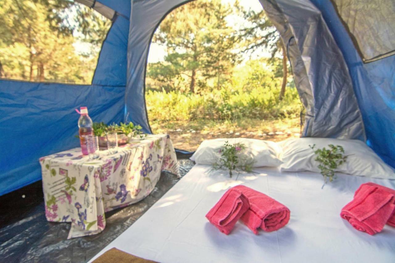 Drolma Ling Nature Cabins Theológos Buitenkant foto