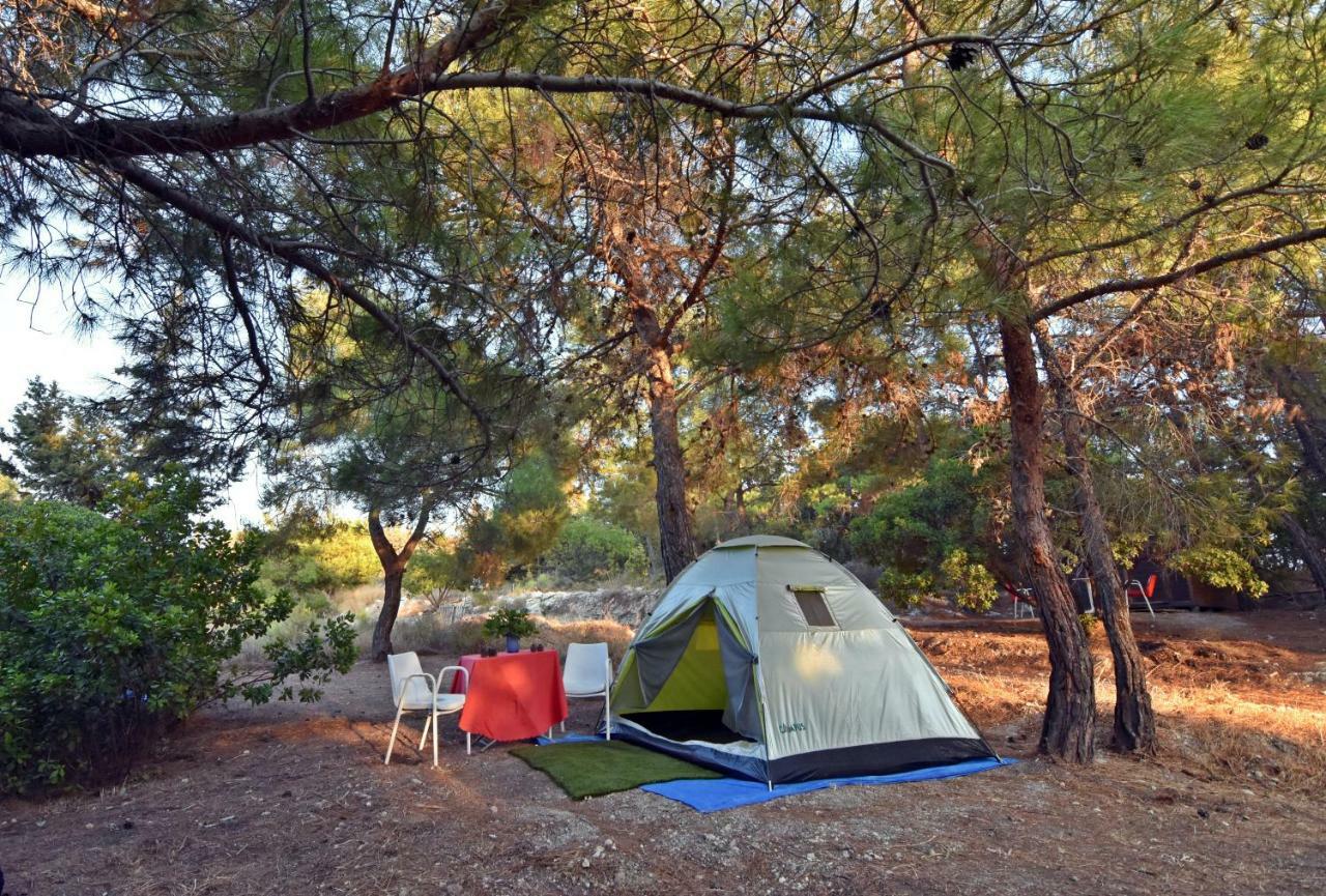 Drolma Ling Nature Cabins Theológos Buitenkant foto